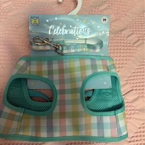 Top Paw Green and Blue harness and leash